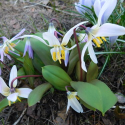 DSCN311830b3df449584d51e