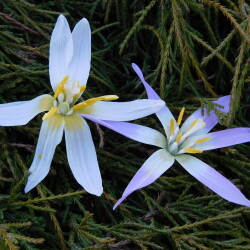 DSCN3123cafb37f7919626f9