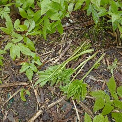 IMG_20260429_1031484c5d7e75afe27b47