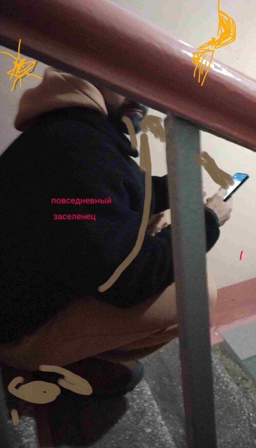 POVSEDNEVNYI-ZASELENET78653f051b964abb.jpg