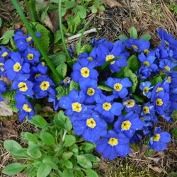 DSCN3229f1b90948cf8e1be5