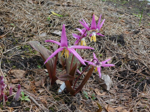 DSCN32491c5d1b02fe692468.jpg