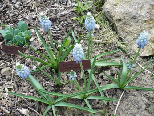 P12803711ab8cc895cd92378.jpg