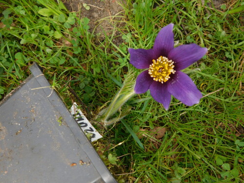 DSCN3609fd361550df6f60f2.jpg