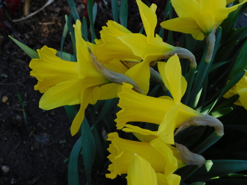 DSCN3259c3ca1accd2c10aa3.jpg