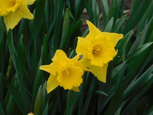 DSCN3593f7254e9cacec7614.jpg