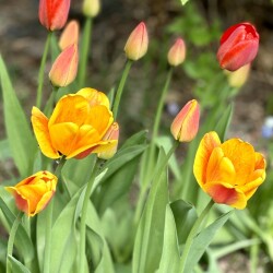 IMG_1621d036c1792aa4b50b
