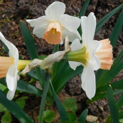 DSCN3419b6582827ab53e09c