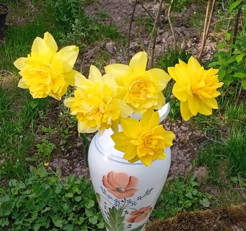yellow-nar-15-md49f2e3541f0a182.jpg