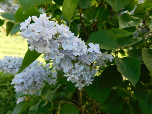 DSCN4339e6476d083fc3425b.jpg